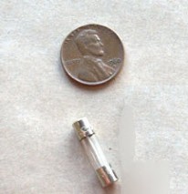 Biozone 1.25amp Fuse