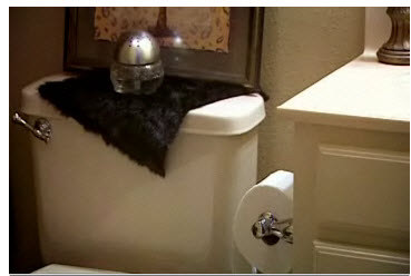 dome-in-bathroom.jpg dome-in-bathroom.jpg