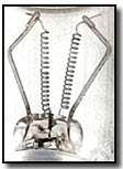 filament-pic.jpg filament-pic.jpg
