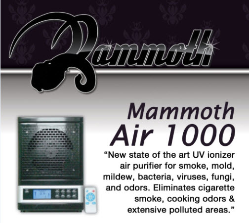 mammoth-content-pic.jpg mammoth-content-pic.jpg